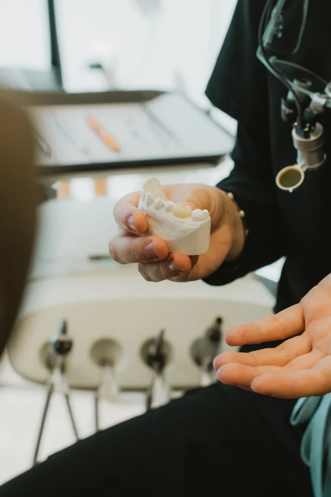 Dentiste présentant un modèle dentaire à un patient lors d’une consultation